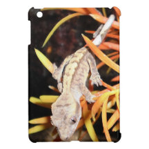 Gecko con cresta del bebé