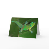 Gecko Cruising at Night cards