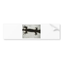 Gecko feet bumper stickers by kristinkas Gecko feet bumper stickers
