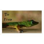 Gecko gift tags business card template