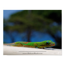 Gecko Lips 2 poster