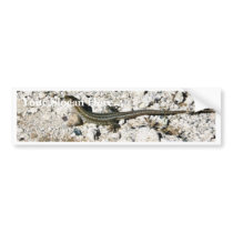 Gecko Lizard bumper stickers by lifesphere Gecko Lizard bumper stickers