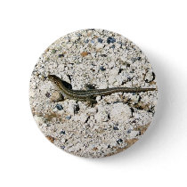 Gecko Lizard buttons