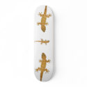 Gecko lizard reptile skateboard