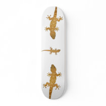 Gecko lizard reptile skateboard
