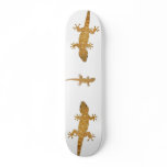 Gecko lizard reptile skateboard