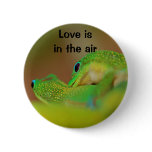Gecko Love