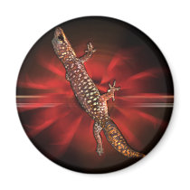 Gecko Magnet