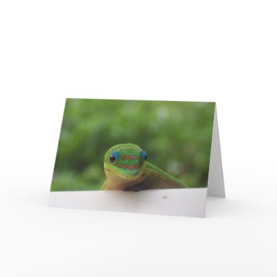 Gecko notecards #1 by Rebecca_Reeder