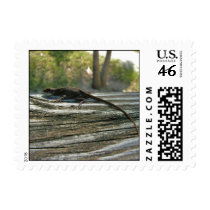 Gecko Postage Stamp