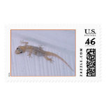 gecko postage stamp