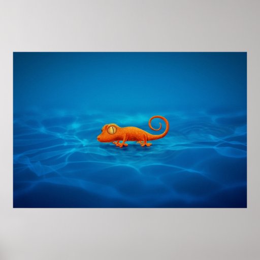 Gecko Posters