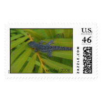 Gecko stamp by KrisArts Gecko stamp