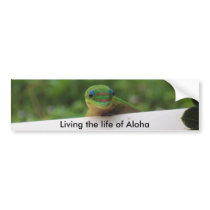 Gecko stickers bumper stickers by Rebecca_Reeder Gecko stickers bumper stickers