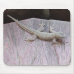 Gecko Territory Mousepad