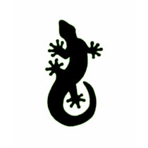 GECKO t-shirts by Sofia_Youshi GECKO t-shirts