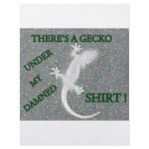 GECKO UNDER MY SHIRT FLYERS