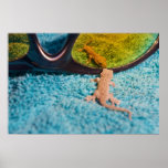 Gecko with Sunglasses posters
