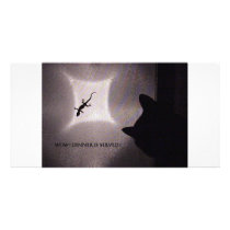 GECKOS 2 photo cards