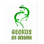 Geckos are Awesome Post Card