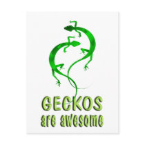 Geckos are Awesome postcards by AllPetsStore Geckos are Awesome postcards