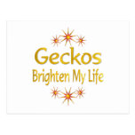 Geckos Brighten My Life Post Cards