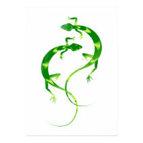 Geckos posters by AllPetsStore Geckos posters