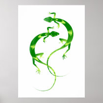 Geckos Posters
