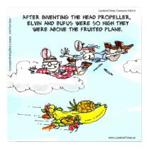 Geeks & Fruited Plane Poster