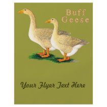 Geese:  American Buffs Personalized Flyer