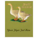 Geese:  American Buffs Personalized Flyer
