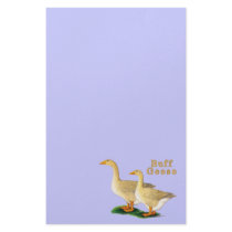 Geese:  American Buffs Custom Stationery