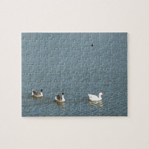 Geese and Coots at Atascadero Lake Park puzzle