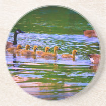 Geese and Goslings Coaster