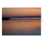 Geese at Sunset Greeting Card