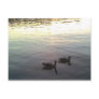 Geese at Sunset Post Cards