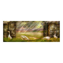 Geese - Birds of a Feather  Panorama posters
