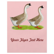 Geese:  Buff African Flyer Design