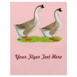 Geese:  Buff African Flyer Design