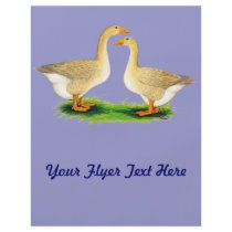 Geese:  Buff Goose and Gander Custom Flyer