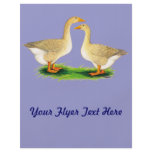 Geese:  Buff Goose and Gander Custom Flyer
