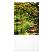 Geese by Pond In Autumn Photo Card Template