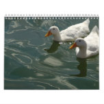 Geese calendar