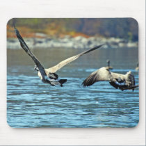 Geese in Flight mousepads
