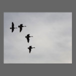 Geese In Flight posters