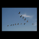 Geese in Flight Print