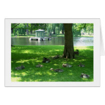 Geese in the Garden cards