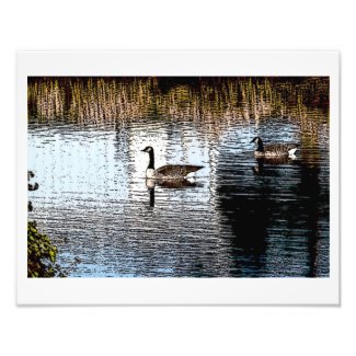 "Geese In The Moonlight" by David H. Roche