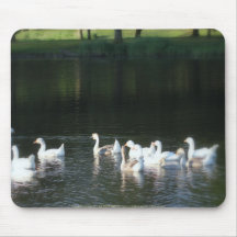 geese in Trojan pond, near Goble, Oregon Mousepads