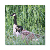 Geese Magnet by CCP_Hunters_Haven Geese Magnet